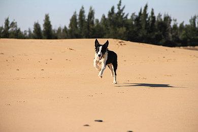 《穿越火线X》新演示视频 开发顺利今年年底发售